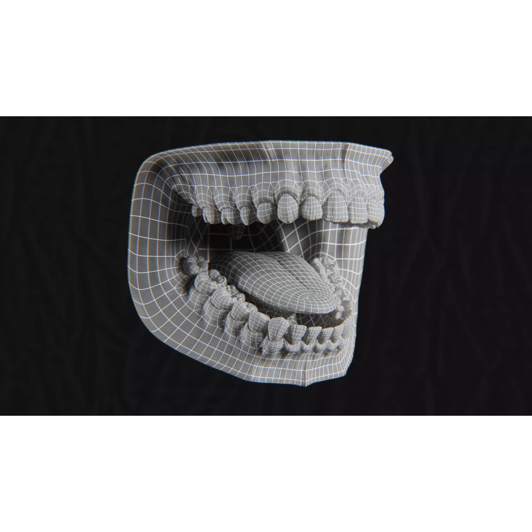 Ultra-Realistic Gum 3D Model – Game-Ready Fully Rigged, PBR Textures - View 10
