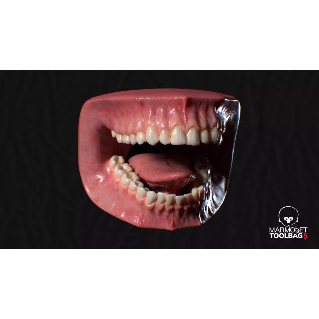 Ultra-Realistic Gum 3D Model – Game-Ready Fully Rigged, PBR Textures - View 11