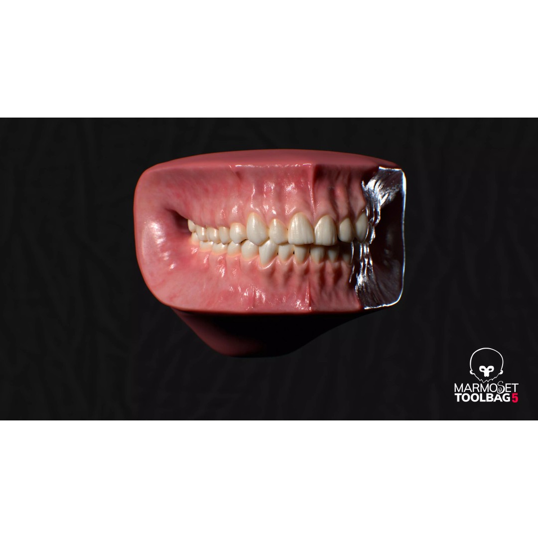 Ultra-Realistic Gum 3D Model – Game-Ready Fully Rigged, PBR Textures - View 12