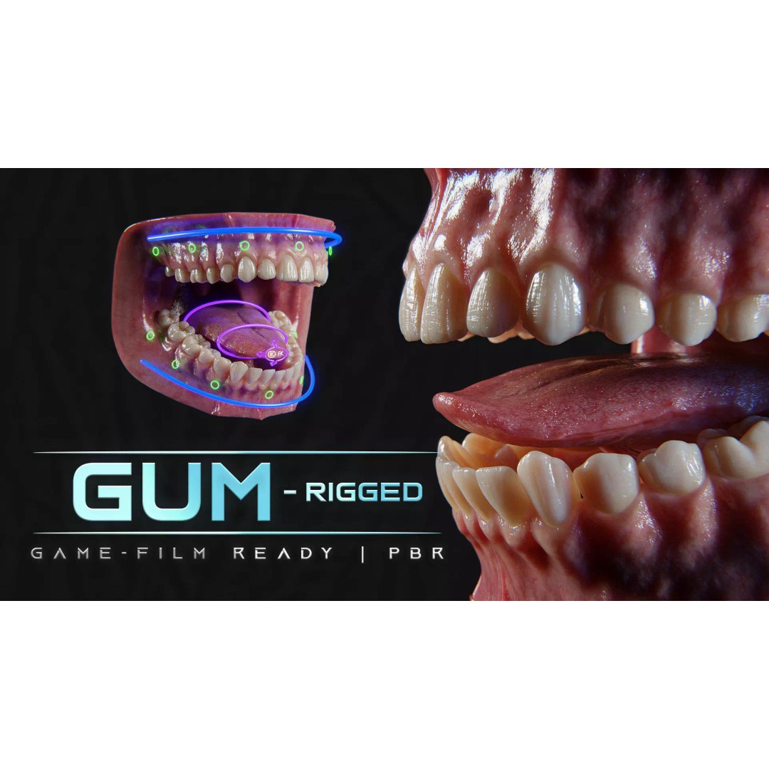 Ultra-Realistic Gum 3D Model – Game-Ready Fully Rigged, PBR Textures - View 2