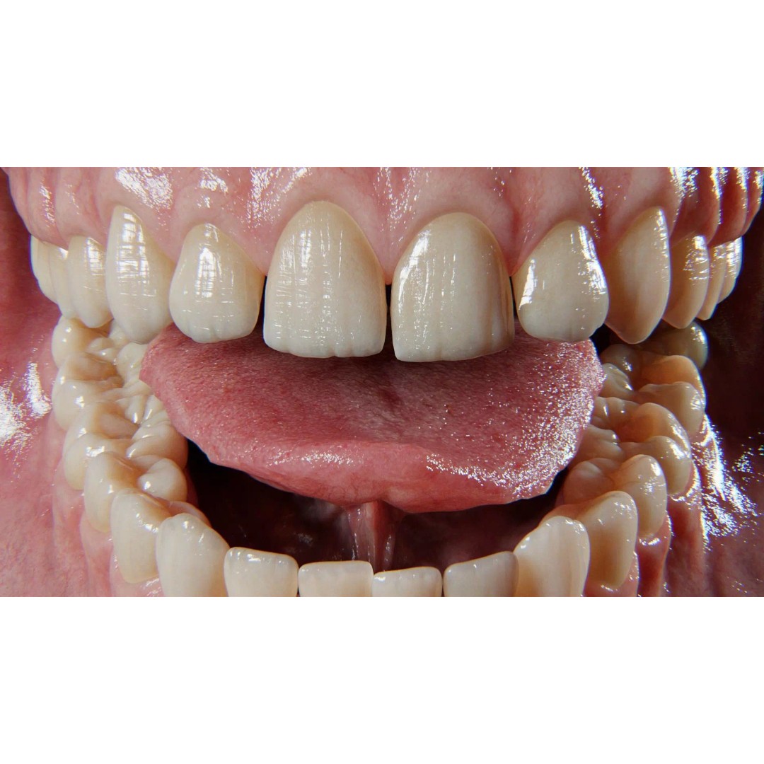 Ultra-Realistic Gum 3D Model – Game-Ready Fully Rigged, PBR Textures - View 4