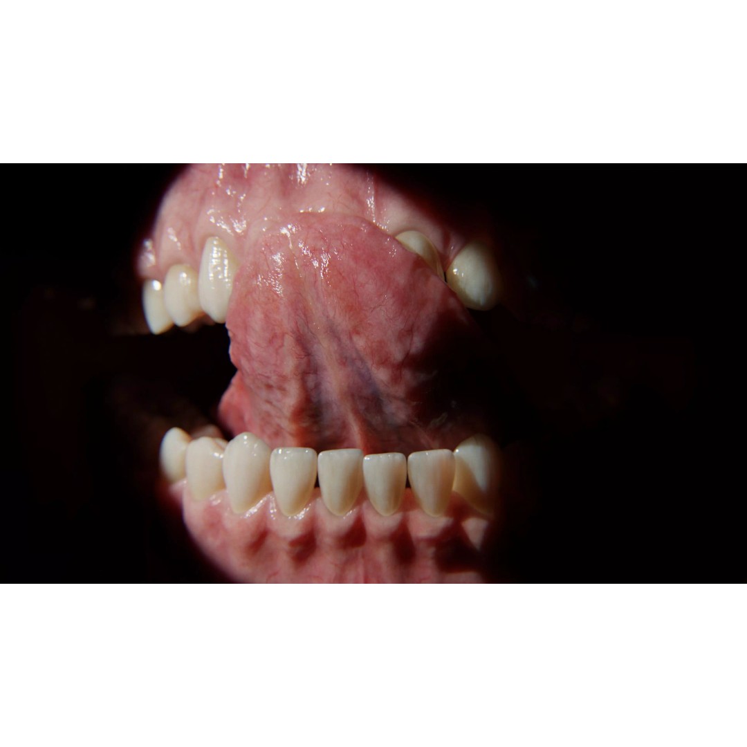 Ultra-Realistic Gum 3D Model – Game-Ready Fully Rigged, PBR Textures - View 5
