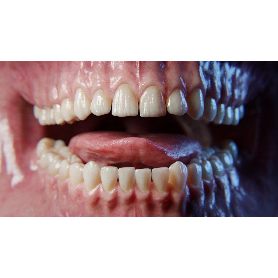 Ultra-Realistic Gum 3D Model – Game-Ready Fully Rigged, PBR Textures - View 6