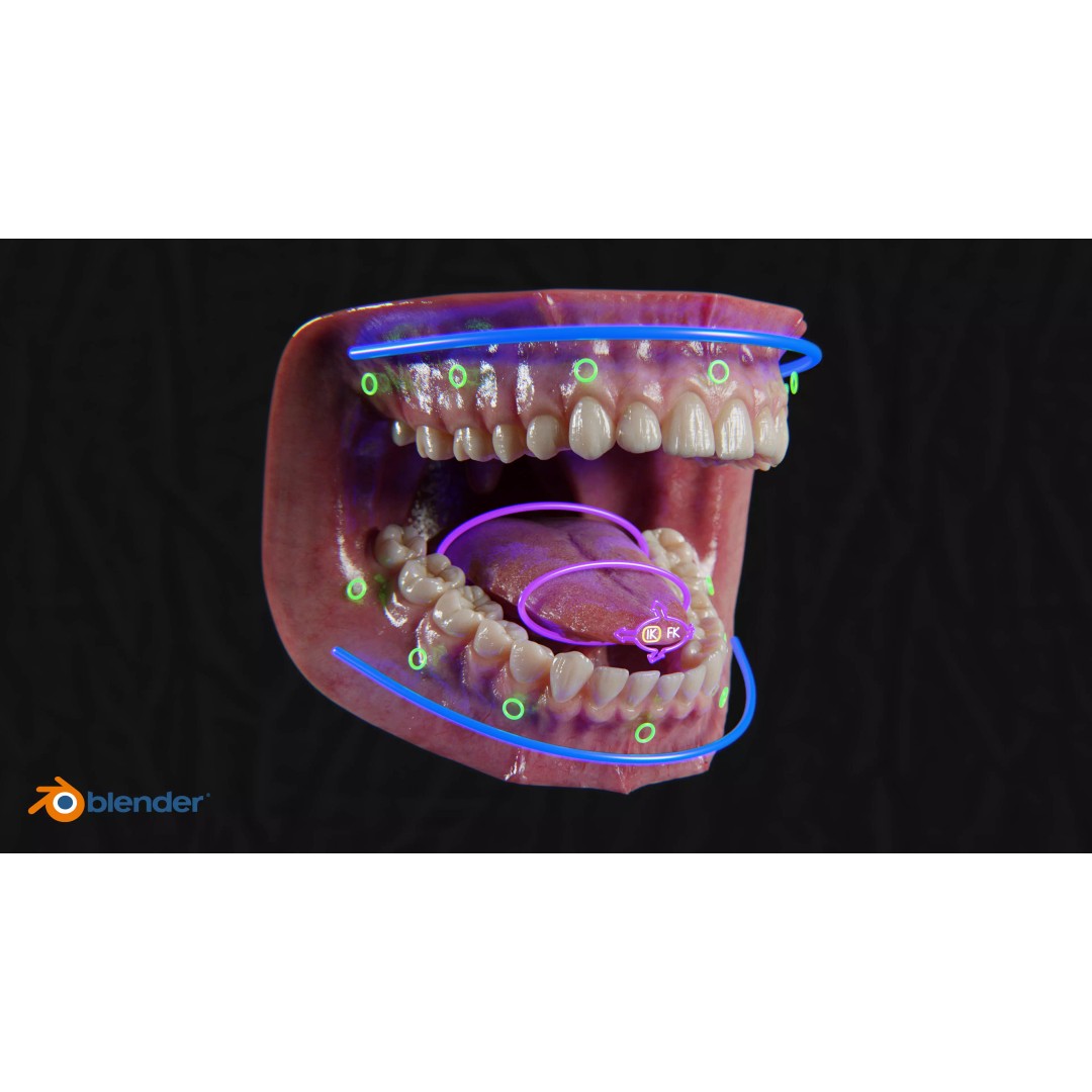 Ultra-Realistic Gum 3D Model – Game-Ready Fully Rigged, PBR Textures - View 7
