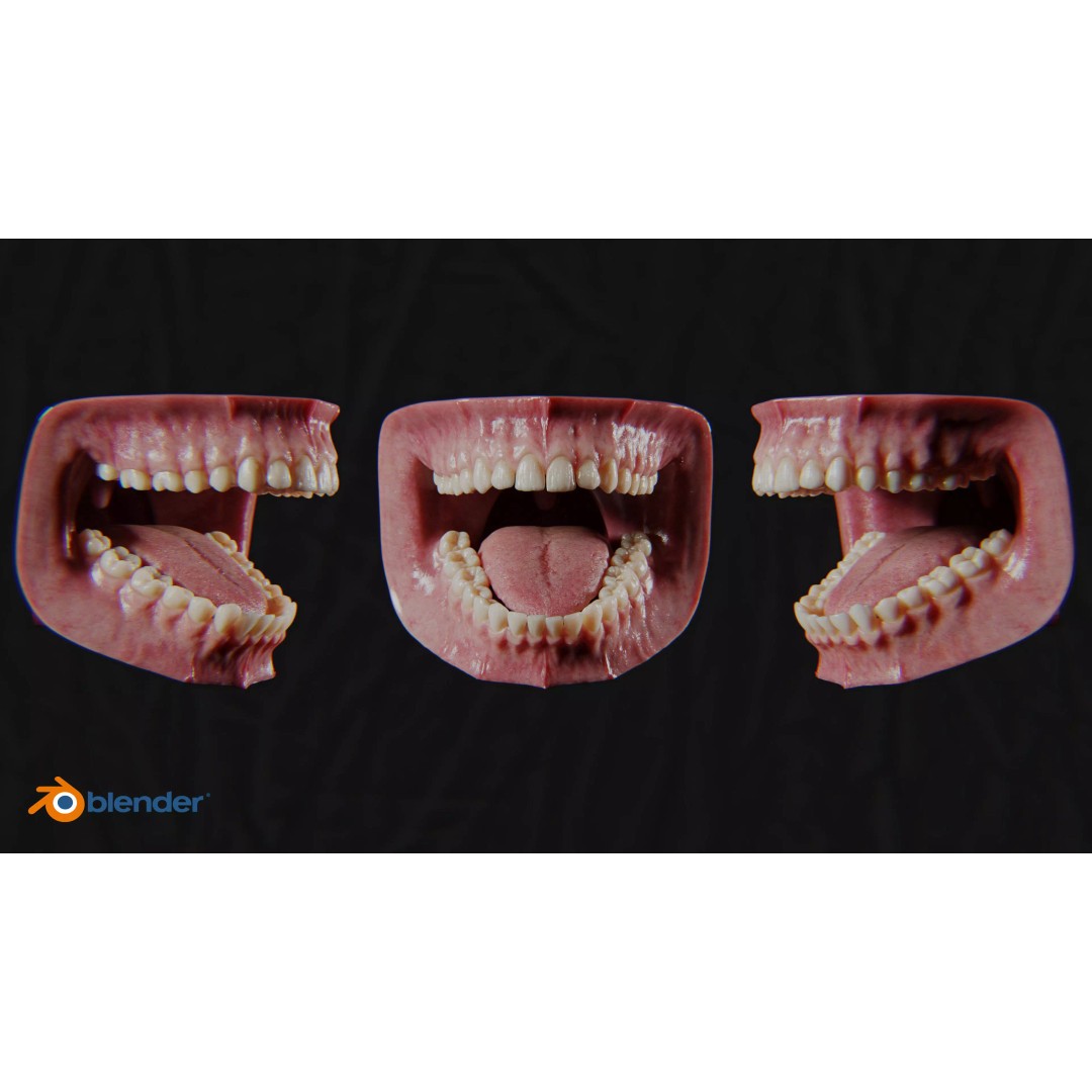 Ultra-Realistic Gum 3D Model – Game-Ready Fully Rigged, PBR Textures - View 8