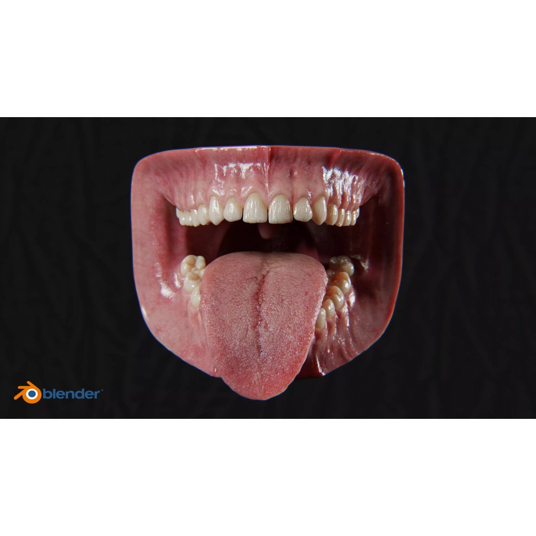 Ultra-Realistic Gum 3D Model – Game-Ready Fully Rigged, PBR Textures - View 9