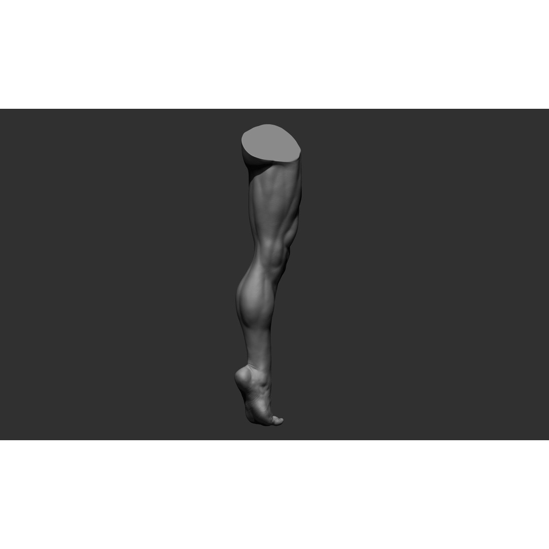 Realistic Male Leg Poses 3D Model – High Poly ZBrush Anatomy, FBX, OBJ - View 11