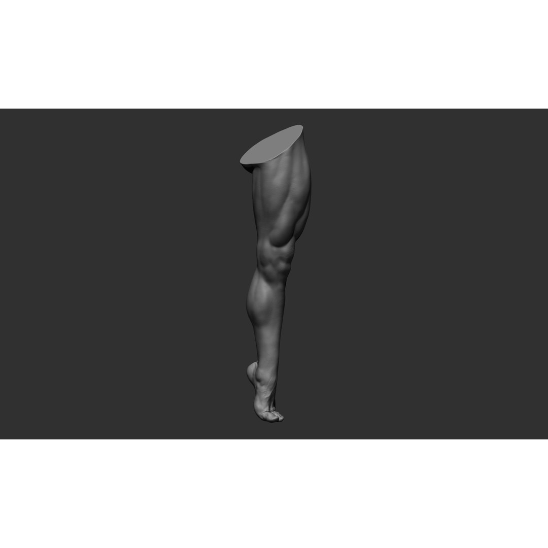 Realistic Male Leg Poses 3D Model – High Poly ZBrush Anatomy, FBX, OBJ - View 12
