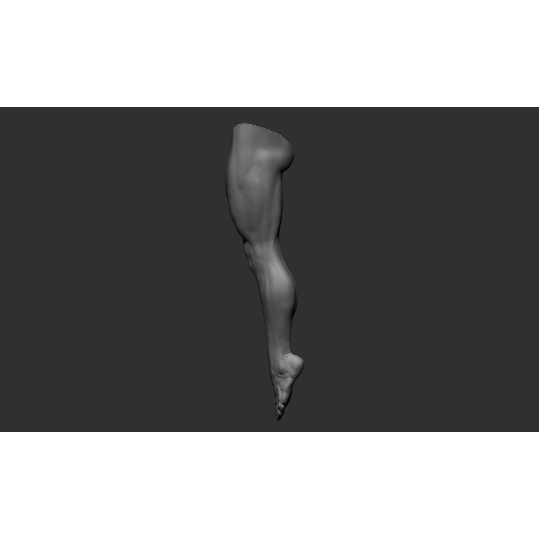 Realistic Male Leg Poses 3D Model – High Poly ZBrush Anatomy, FBX, OBJ - View 15