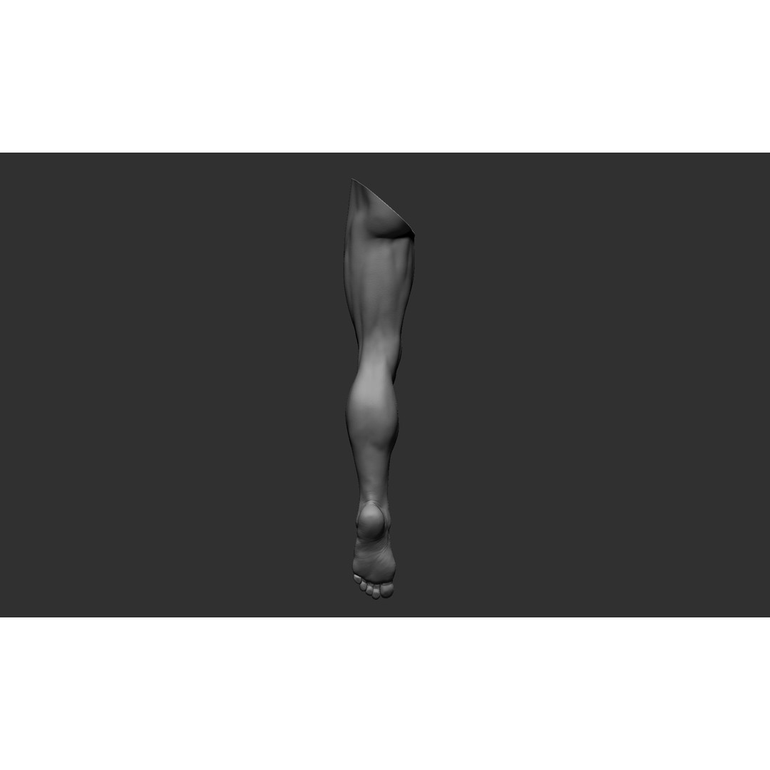 Realistic Male Leg Poses 3D Model – High Poly ZBrush Anatomy, FBX, OBJ - View 16