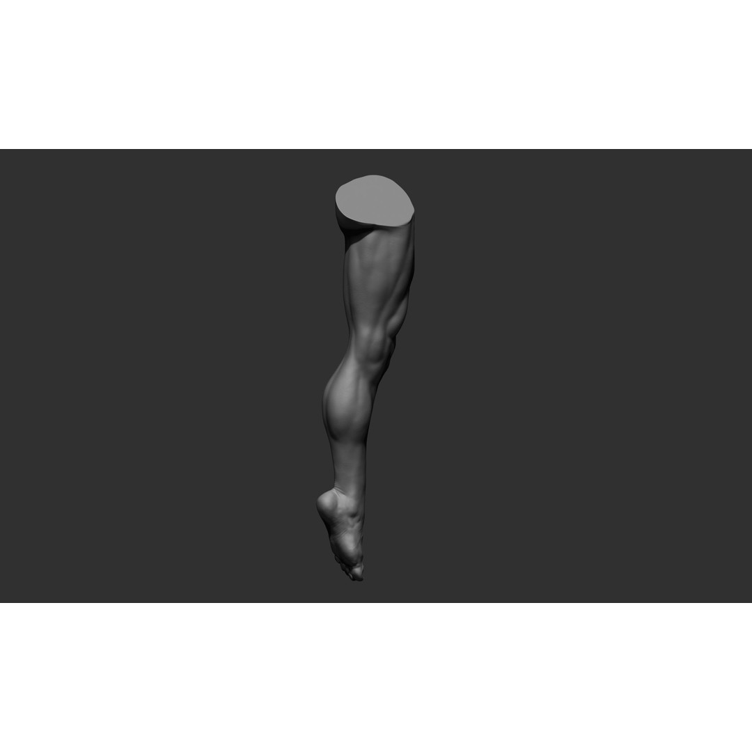 Realistic Male Leg Poses 3D Model – High Poly ZBrush Anatomy, FBX, OBJ - View 17