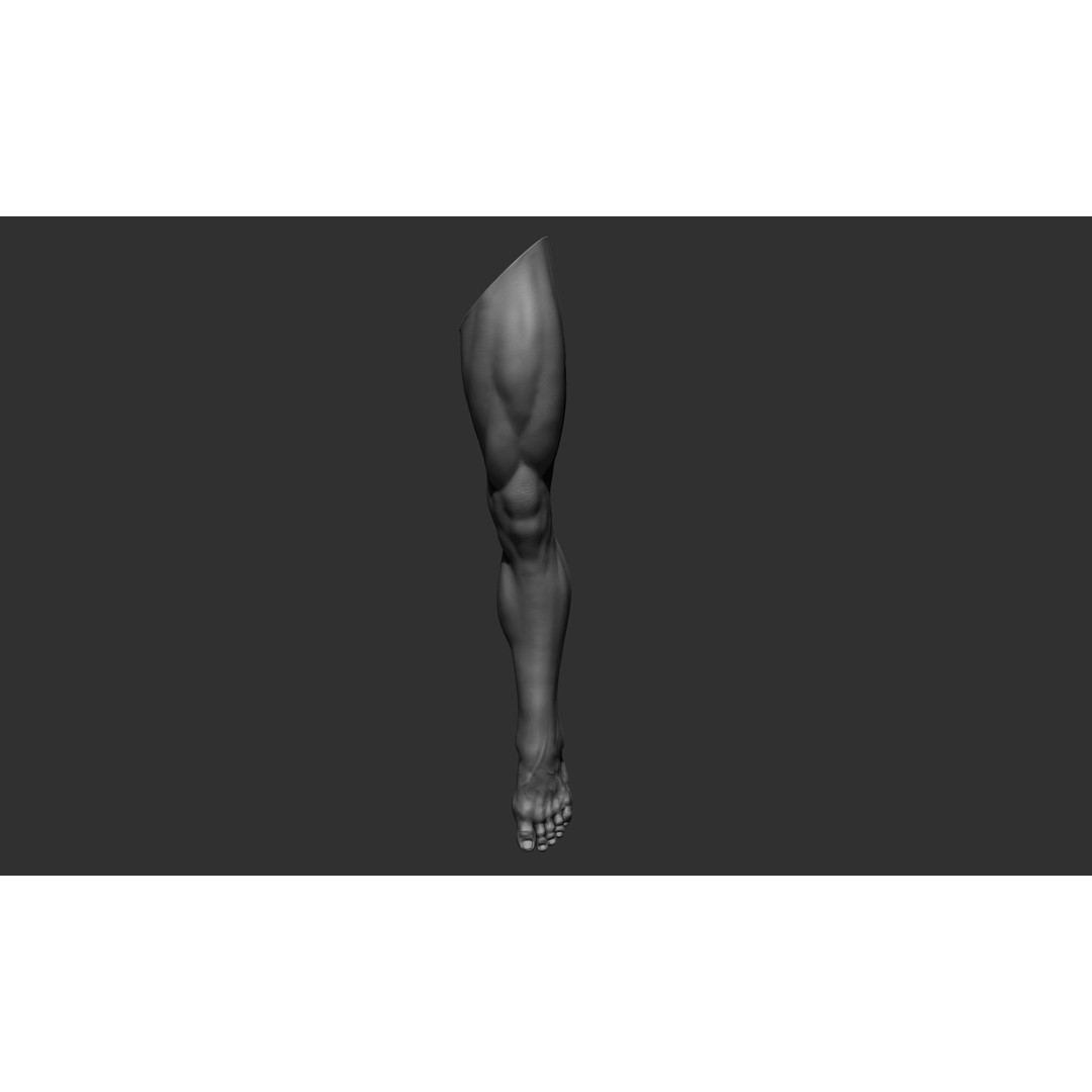 Realistic Male Leg Poses 3D Model – High Poly ZBrush Anatomy, FBX, OBJ - View 19