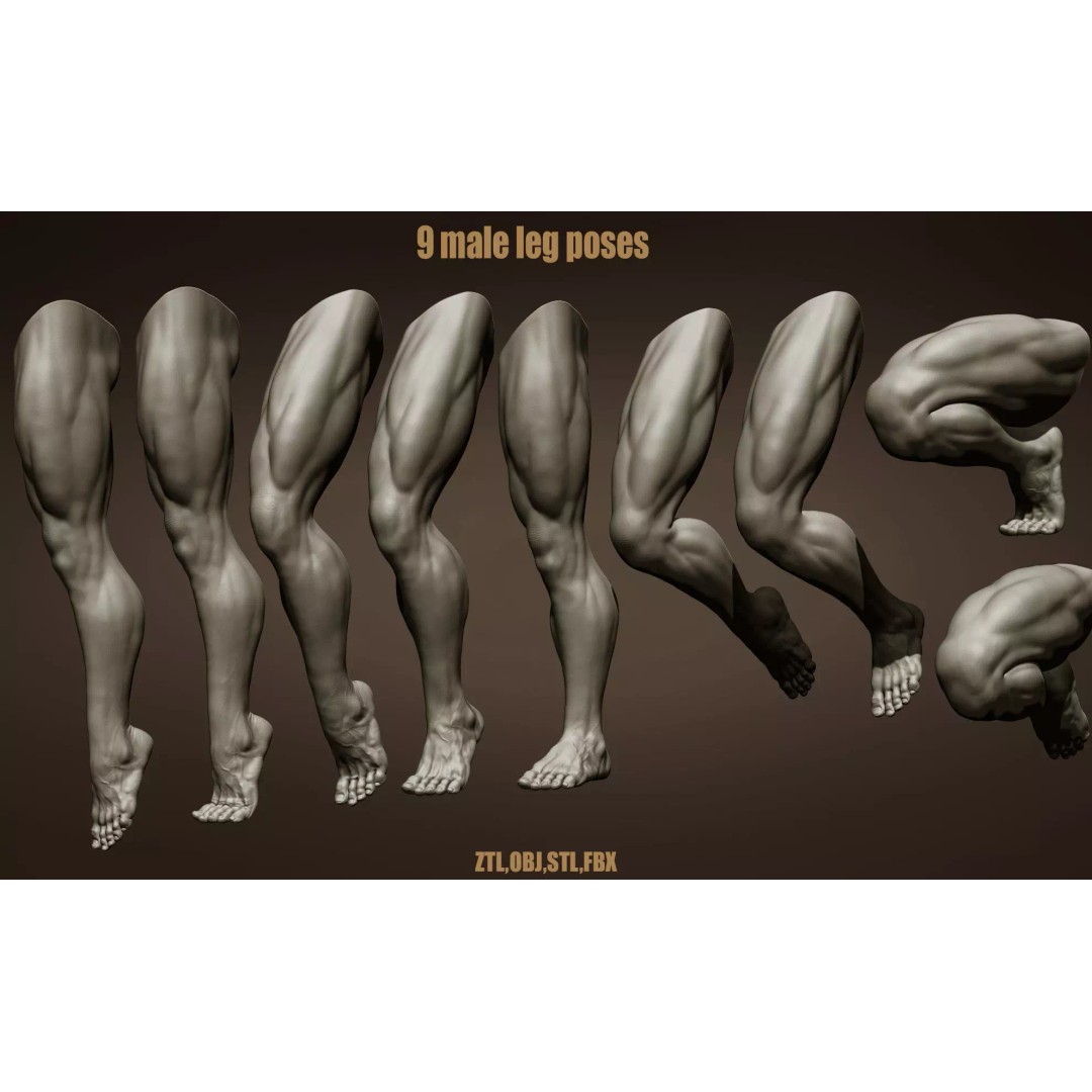 Realistic Male Leg Poses 3D Model – High Poly ZBrush Anatomy, FBX, OBJ - View 2
