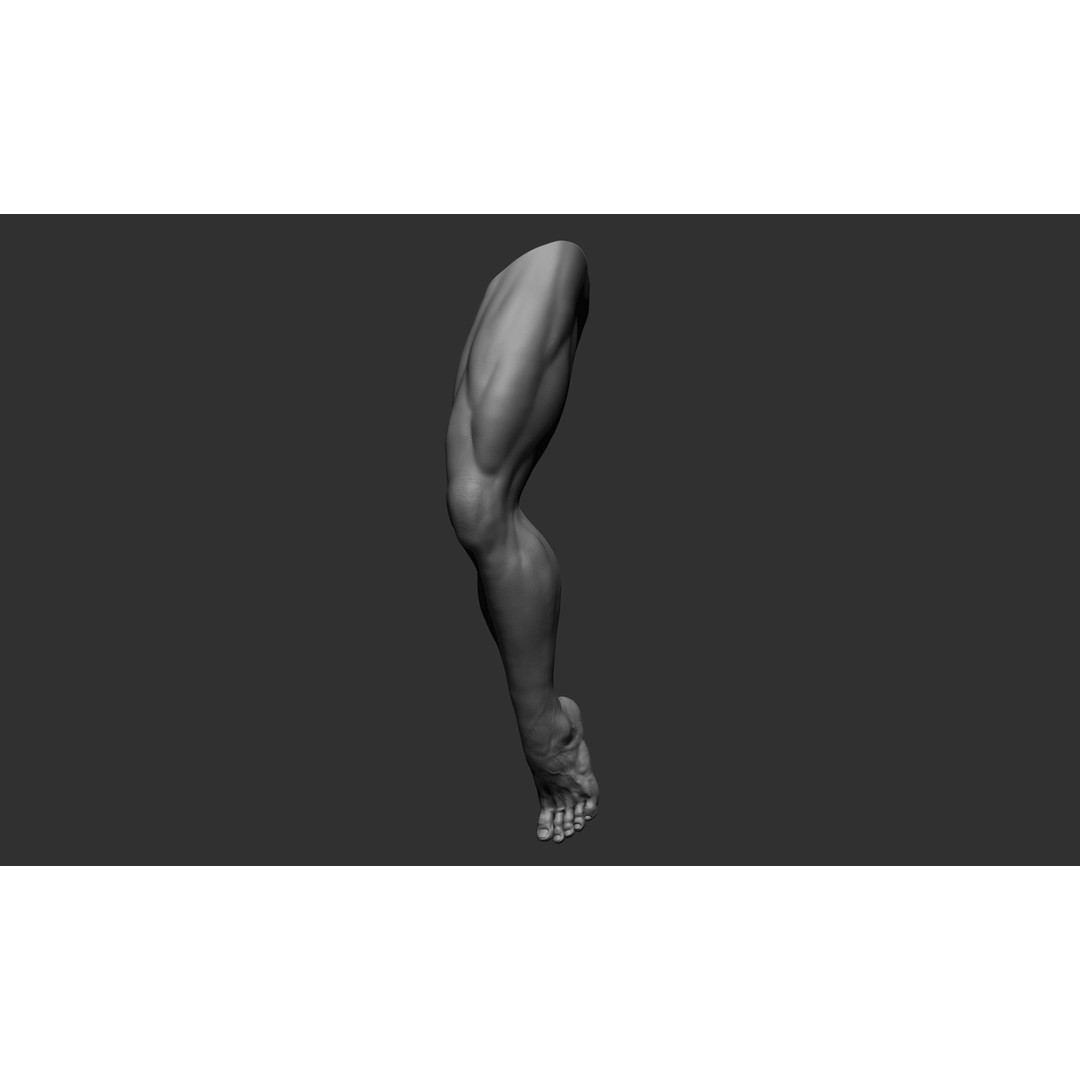 Realistic Male Leg Poses 3D Model – High Poly ZBrush Anatomy, FBX, OBJ - View 20