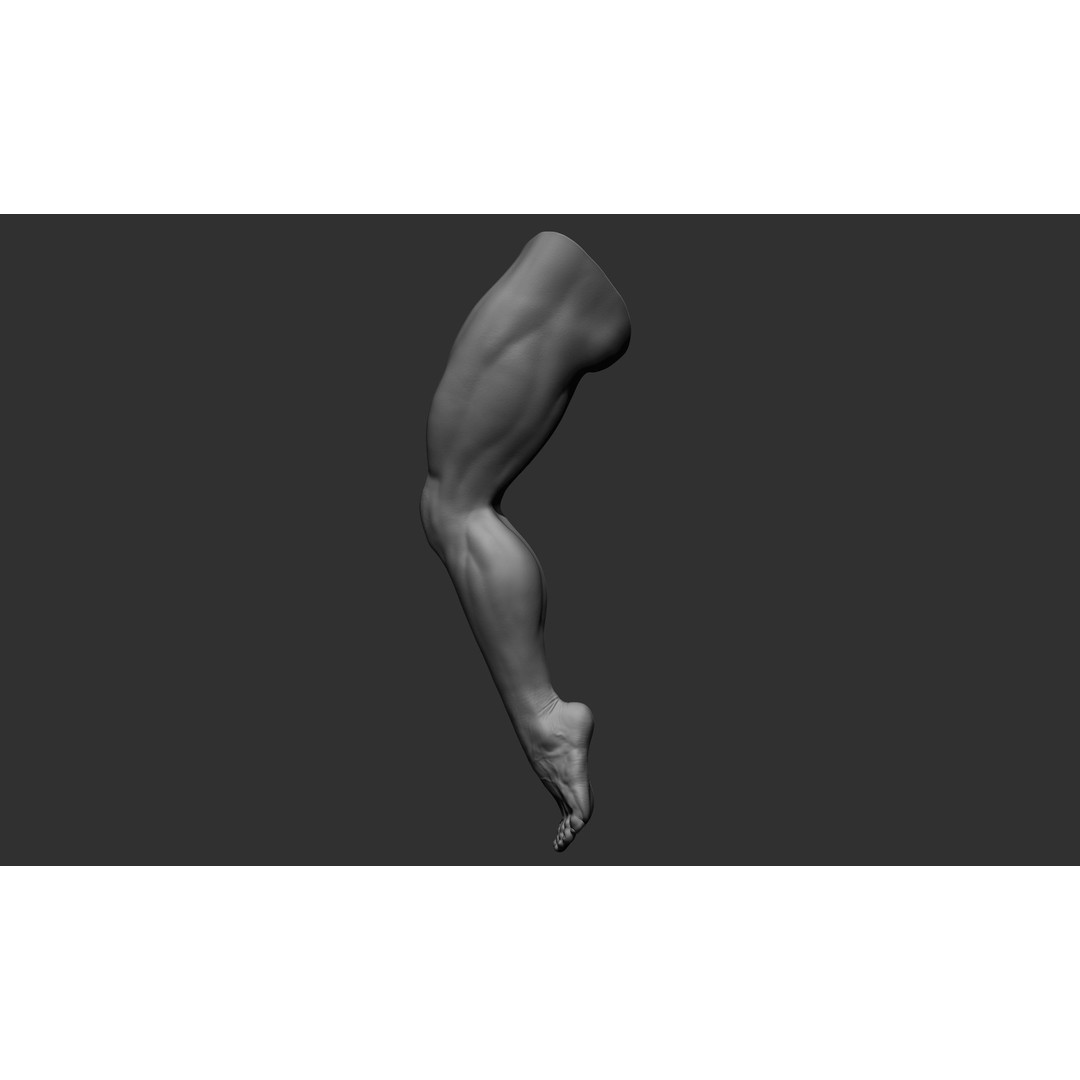Realistic Male Leg Poses 3D Model – High Poly ZBrush Anatomy, FBX, OBJ - View 21