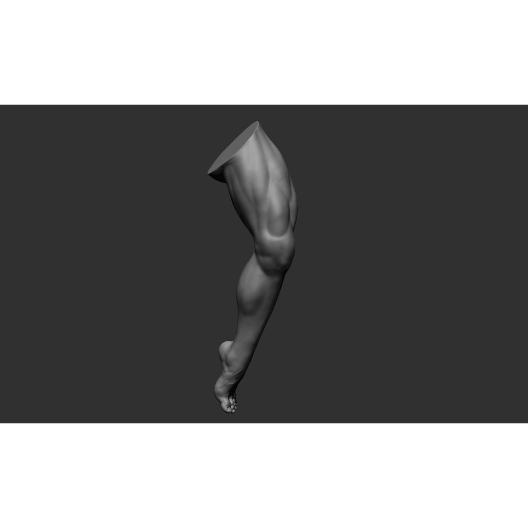 Realistic Male Leg Poses 3D Model – High Poly ZBrush Anatomy, FBX, OBJ - View 22