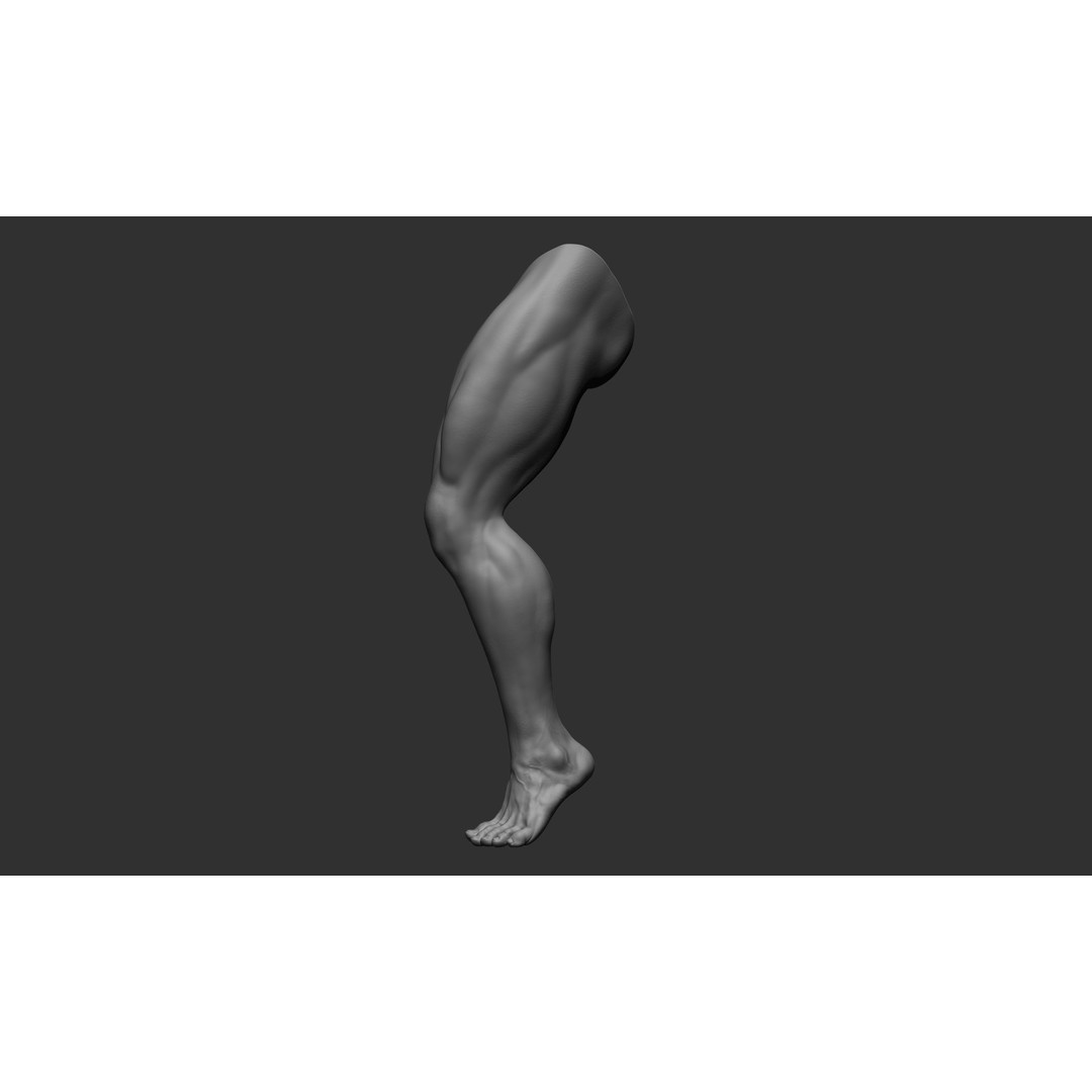 Realistic Male Leg Poses 3D Model – High Poly ZBrush Anatomy, FBX, OBJ - View 24
