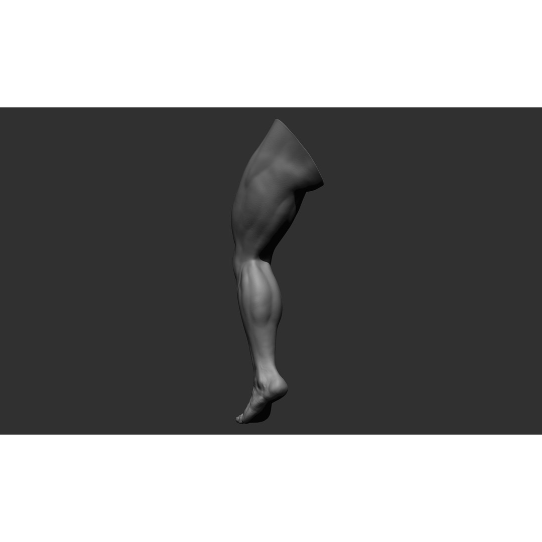 Realistic Male Leg Poses 3D Model – High Poly ZBrush Anatomy, FBX, OBJ - View 25