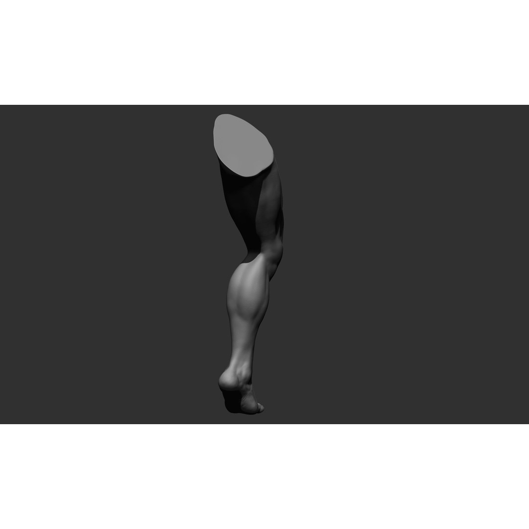 Realistic Male Leg Poses 3D Model – High Poly ZBrush Anatomy, FBX, OBJ - View 26