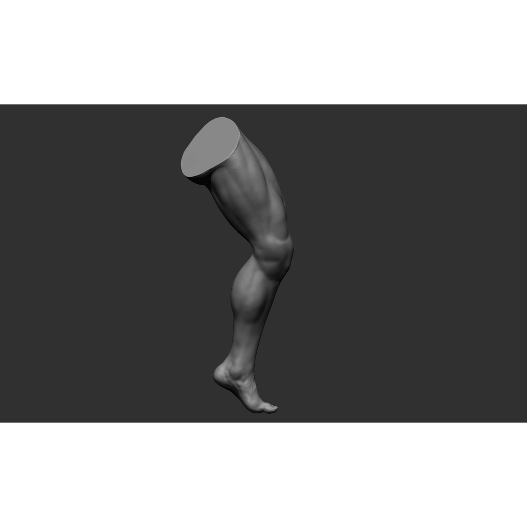 Realistic Male Leg Poses 3D Model – High Poly ZBrush Anatomy, FBX, OBJ - View 27