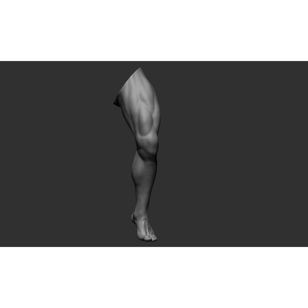 Realistic Male Leg Poses 3D Model – High Poly ZBrush Anatomy, FBX, OBJ - View 28