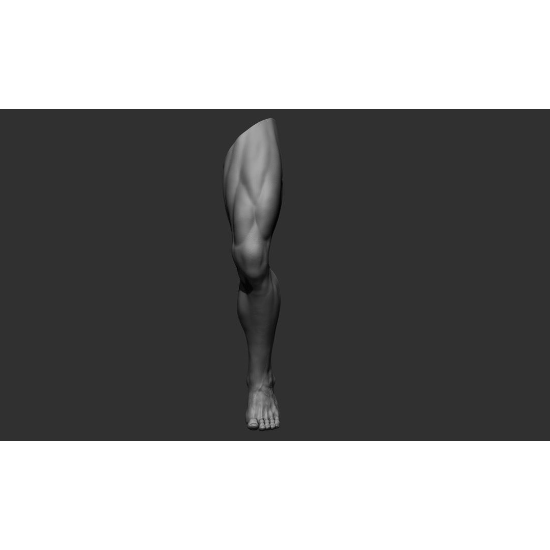 Realistic Male Leg Poses 3D Model – High Poly ZBrush Anatomy, FBX, OBJ - View 29