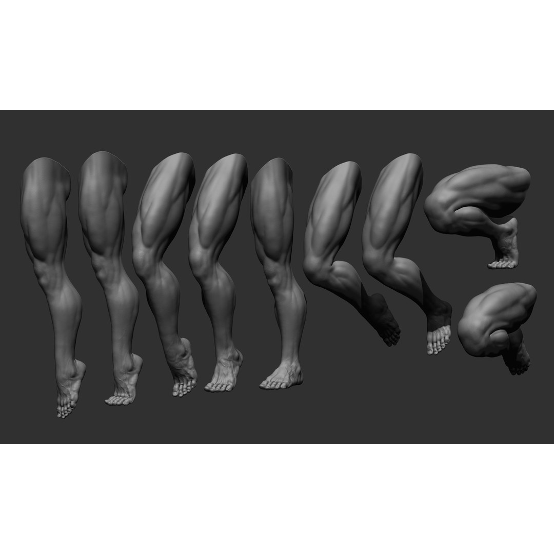 Realistic Male Leg Poses 3D Model – High Poly ZBrush Anatomy, FBX, OBJ - View 3