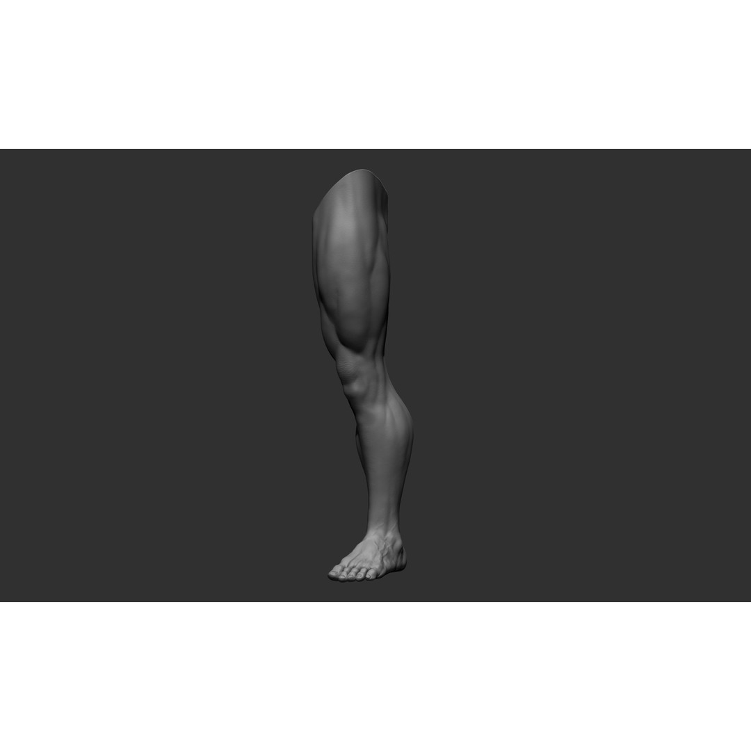 Realistic Male Leg Poses 3D Model – High Poly ZBrush Anatomy, FBX, OBJ - View 30