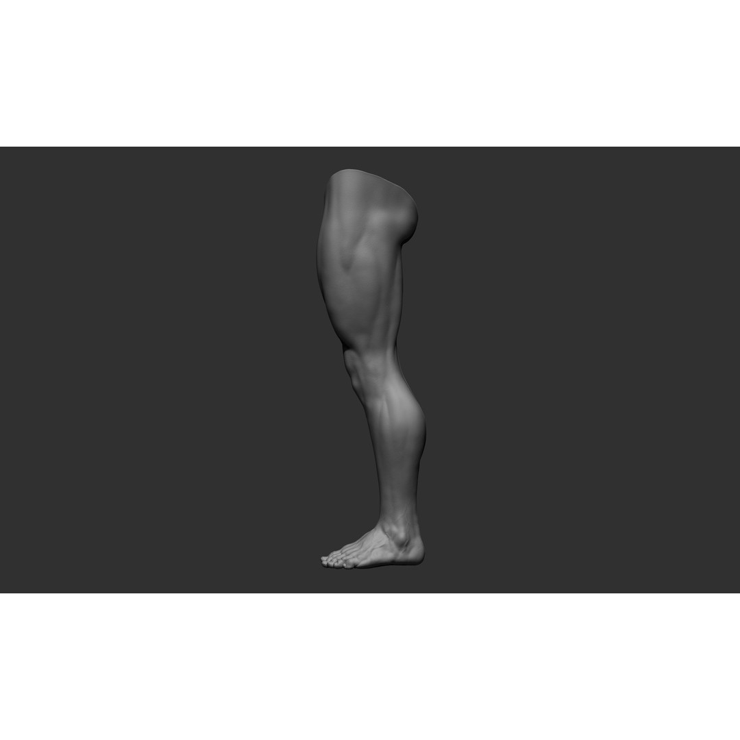 Realistic Male Leg Poses 3D Model – High Poly ZBrush Anatomy, FBX, OBJ - View 31