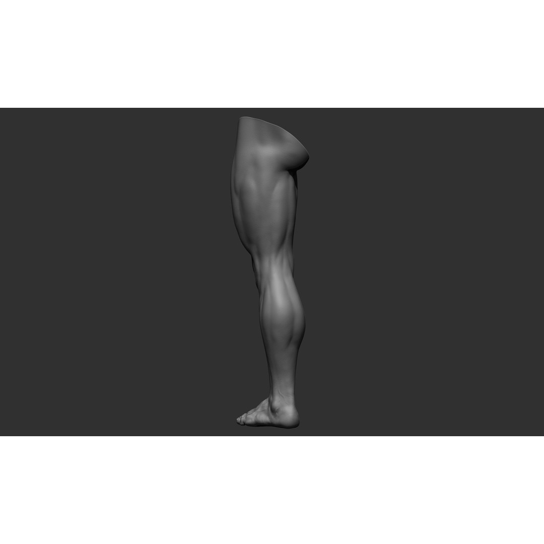 Realistic Male Leg Poses 3D Model – High Poly ZBrush Anatomy, FBX, OBJ - View 32
