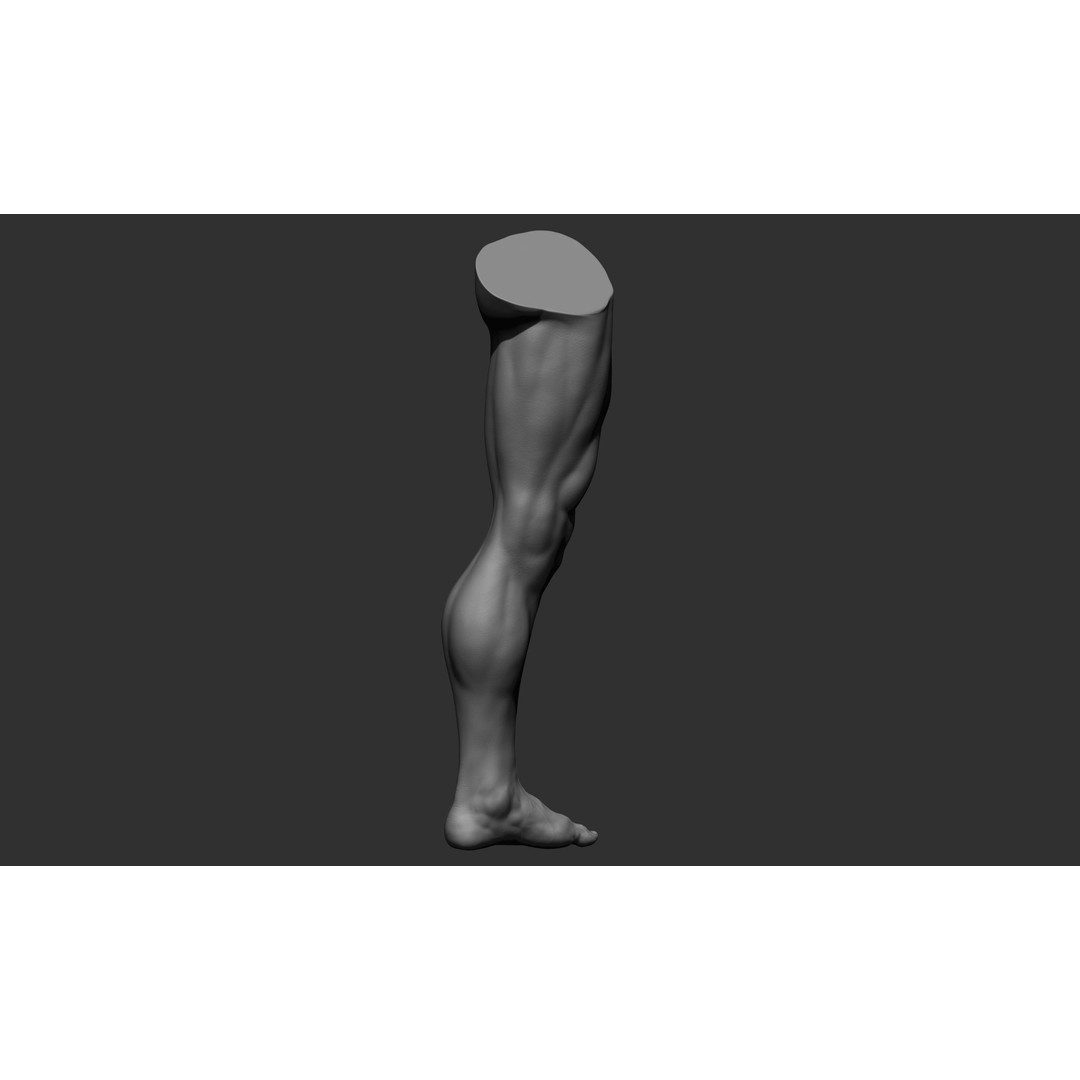 Realistic Male Leg Poses 3D Model – High Poly ZBrush Anatomy, FBX, OBJ - View 34