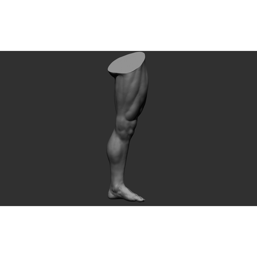 Realistic Male Leg Poses 3D Model – High Poly ZBrush Anatomy, FBX, OBJ - View 35