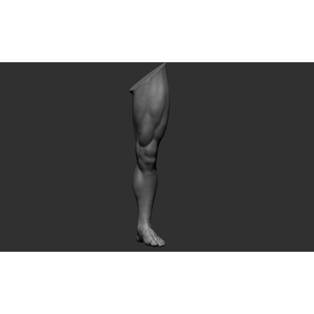 Realistic Male Leg Poses 3D Model – High Poly ZBrush Anatomy, FBX, OBJ - View 36