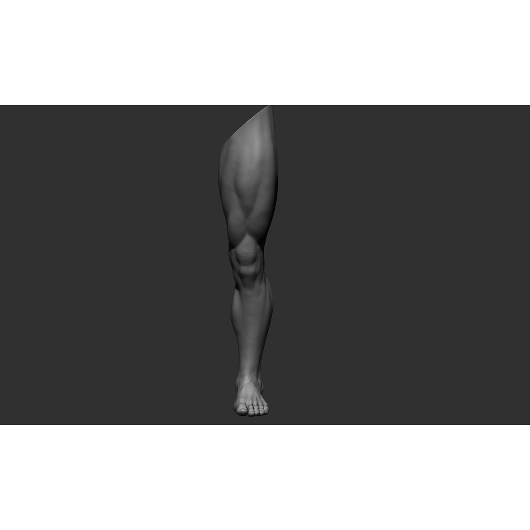 Realistic Male Leg Poses 3D Model – High Poly ZBrush Anatomy, FBX, OBJ - View 37