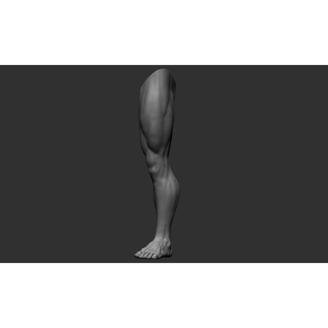 Realistic Male Leg Poses 3D Model – High Poly ZBrush Anatomy, FBX, OBJ - View 38