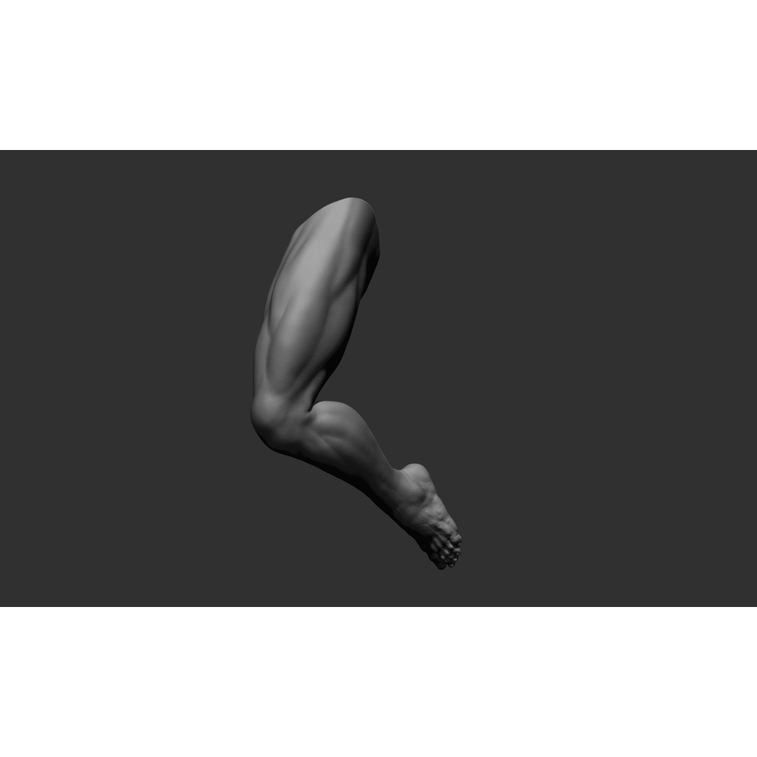 Realistic Male Leg Poses 3D Model – High Poly ZBrush Anatomy, FBX, OBJ - View 39