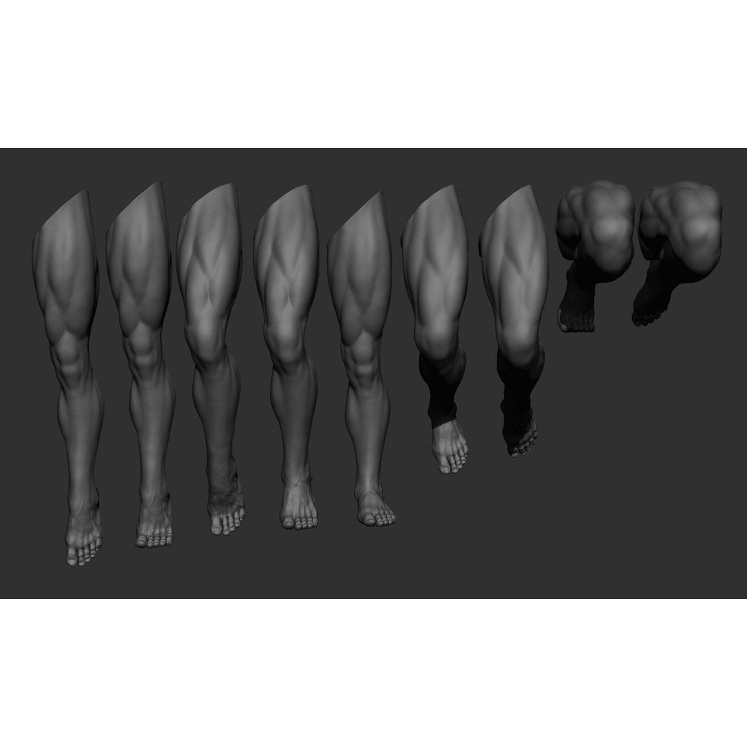 Realistic Male Leg Poses 3D Model – High Poly ZBrush Anatomy, FBX, OBJ - View 4