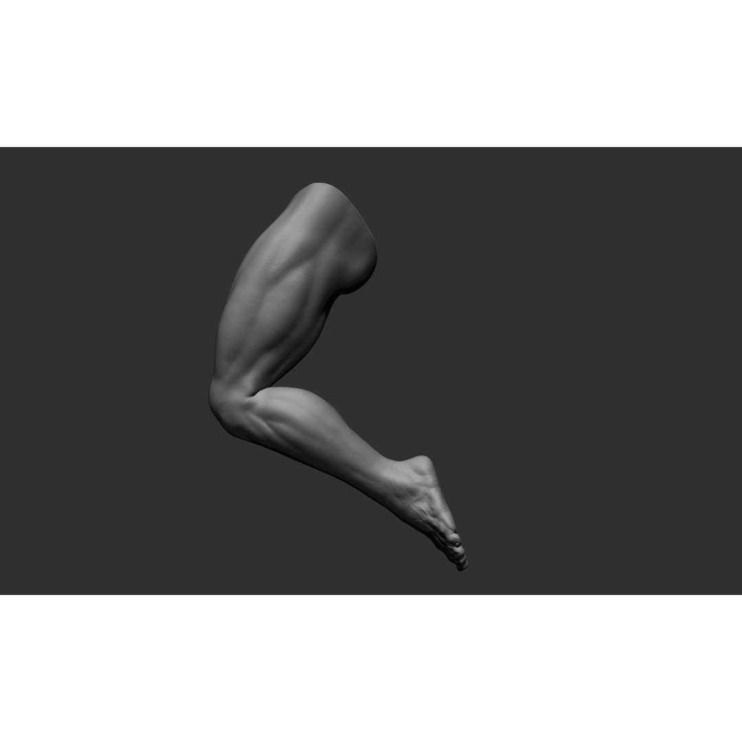 Realistic Male Leg Poses 3D Model – High Poly ZBrush Anatomy, FBX, OBJ - View 40