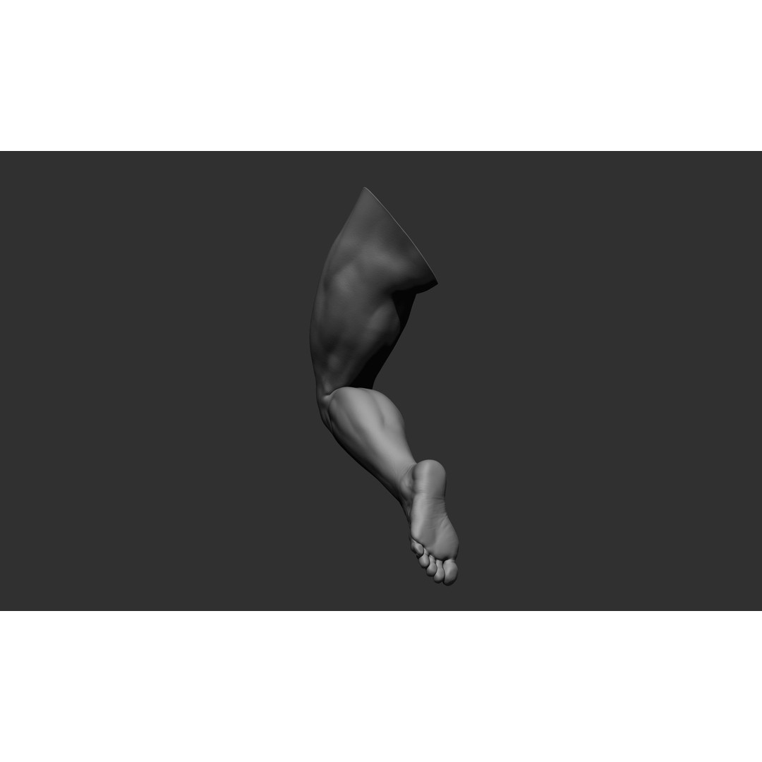 Realistic Male Leg Poses 3D Model – High Poly ZBrush Anatomy, FBX, OBJ - View 41