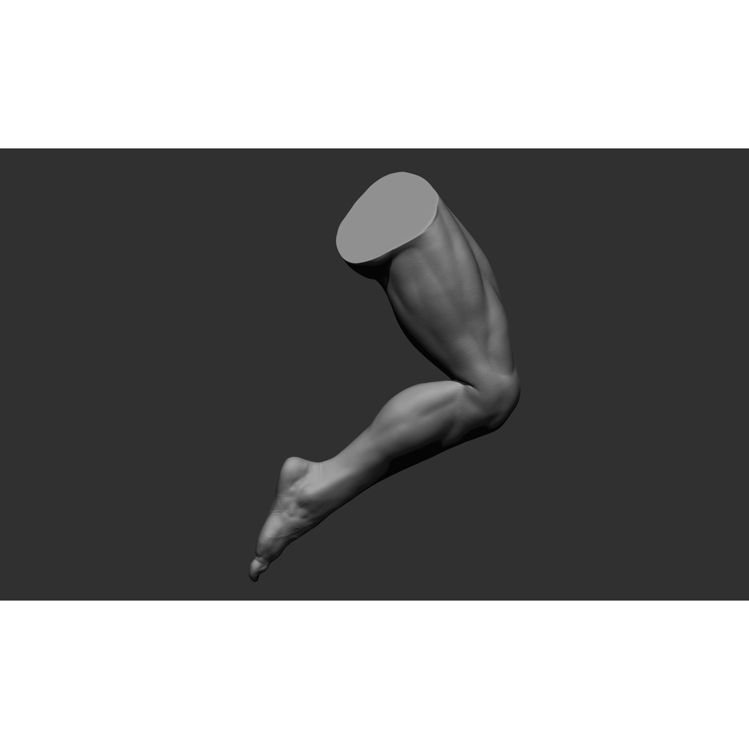 Realistic Male Leg Poses 3D Model – High Poly ZBrush Anatomy, FBX, OBJ - View 42