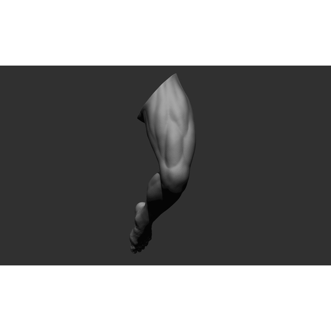 Realistic Male Leg Poses 3D Model – High Poly ZBrush Anatomy, FBX, OBJ - View 43