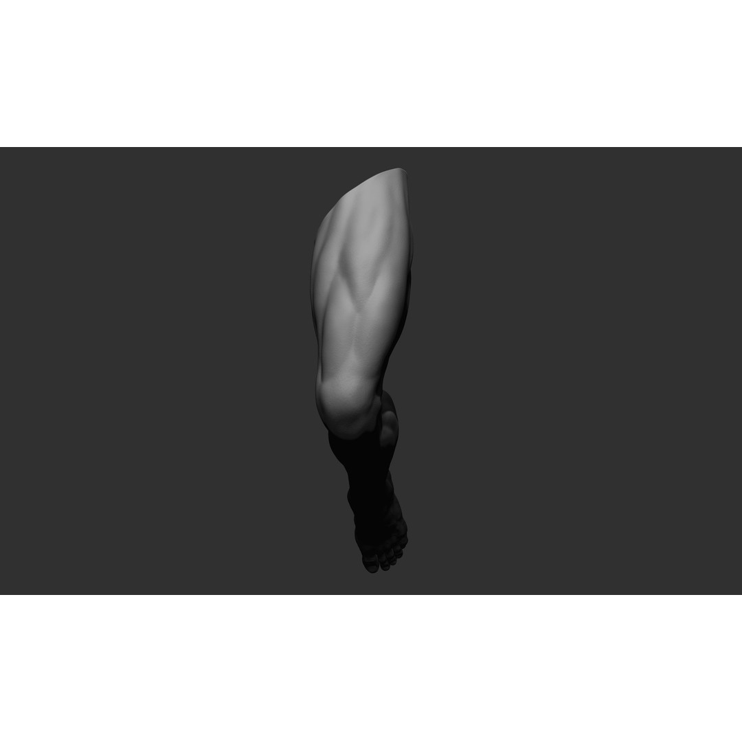 Realistic Male Leg Poses 3D Model – High Poly ZBrush Anatomy, FBX, OBJ - View 44