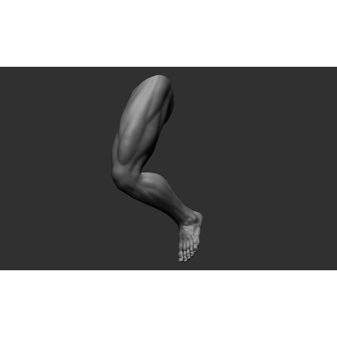 Realistic Male Leg Poses 3D Model – High Poly ZBrush Anatomy, FBX, OBJ - View 45