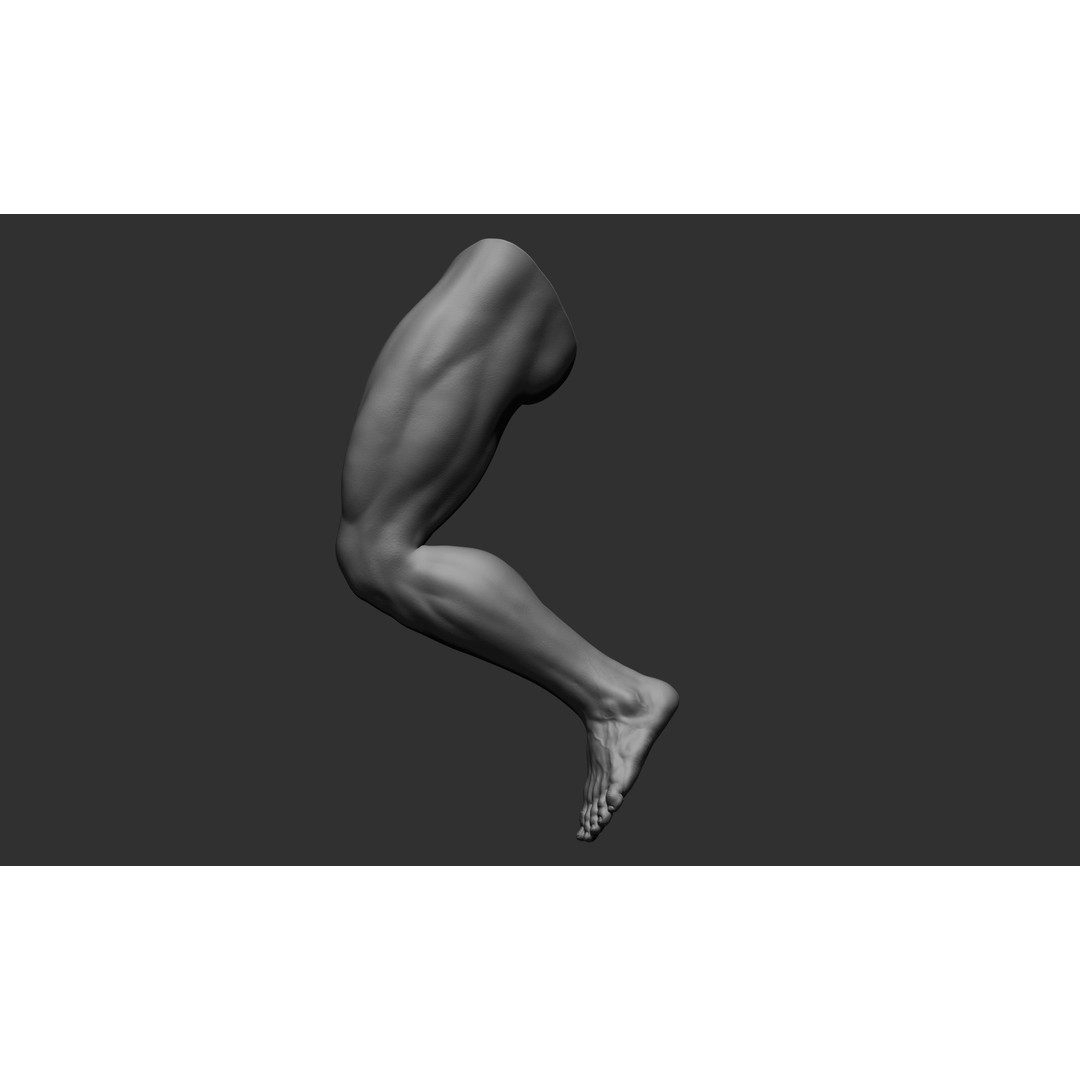 Realistic Male Leg Poses 3D Model – High Poly ZBrush Anatomy, FBX, OBJ - View 46