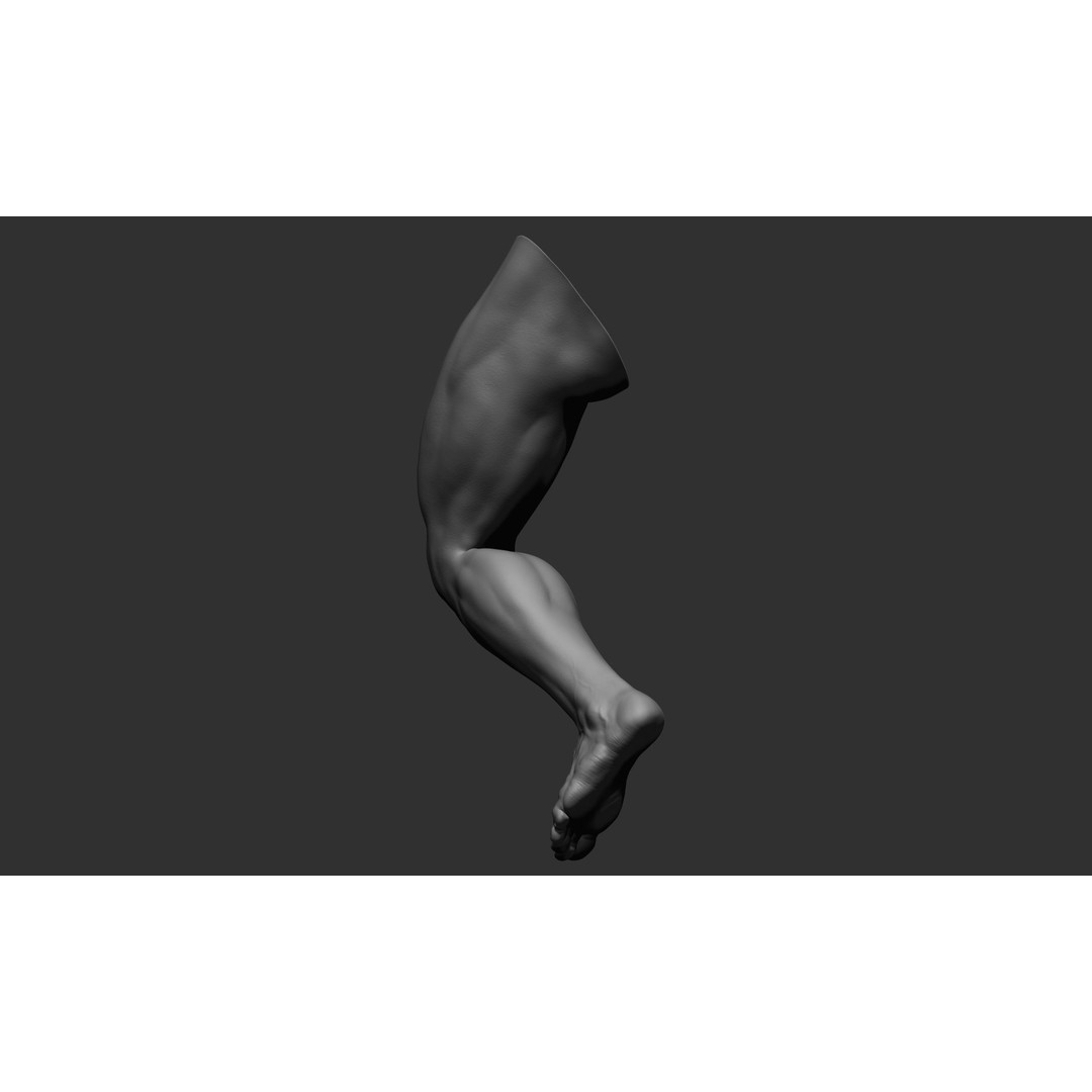 Realistic Male Leg Poses 3D Model – High Poly ZBrush Anatomy, FBX, OBJ - View 47