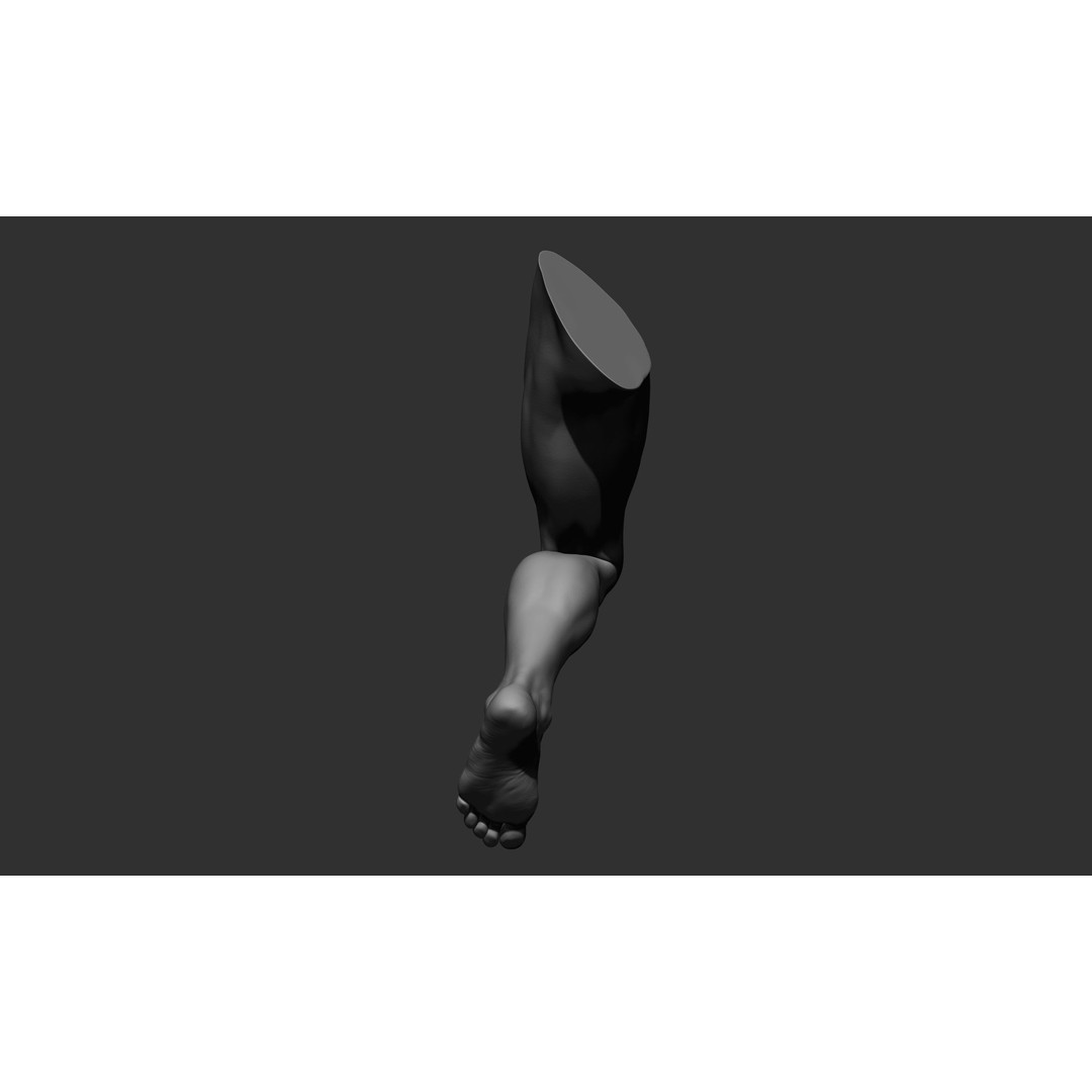 Realistic Male Leg Poses 3D Model – High Poly ZBrush Anatomy, FBX, OBJ - View 48