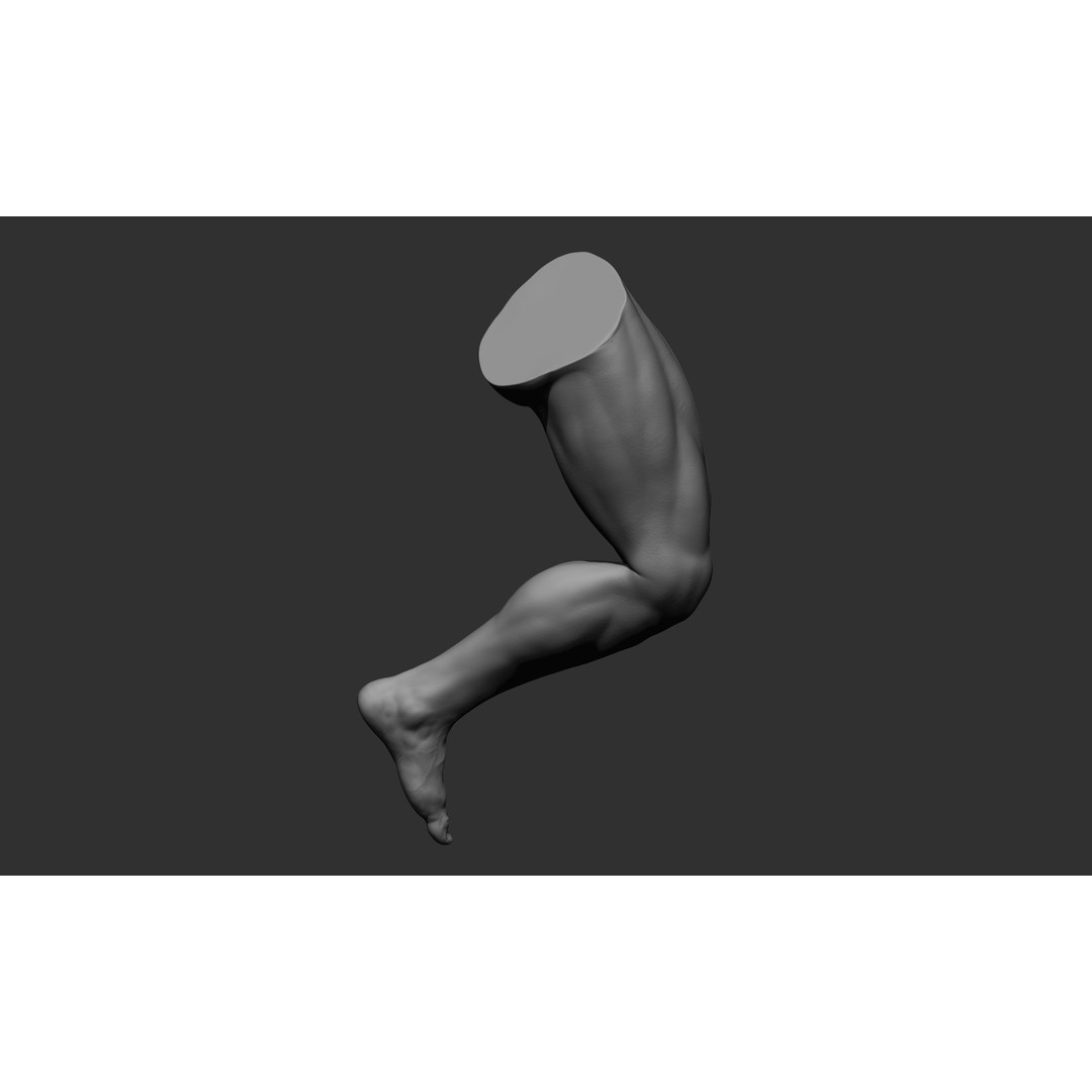 Realistic Male Leg Poses 3D Model – High Poly ZBrush Anatomy, FBX, OBJ - View 49