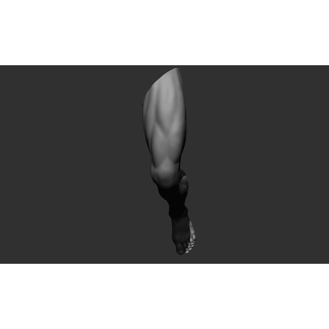 Realistic Male Leg Poses 3D Model – High Poly ZBrush Anatomy, FBX, OBJ - View 51