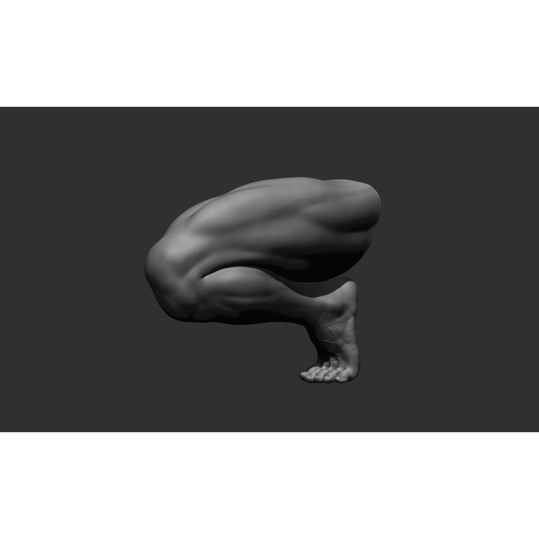 Realistic Male Leg Poses 3D Model – High Poly ZBrush Anatomy, FBX, OBJ - View 52