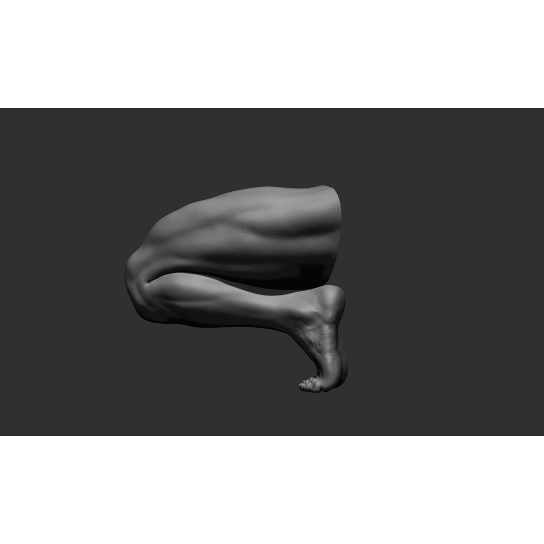 Realistic Male Leg Poses 3D Model – High Poly ZBrush Anatomy, FBX, OBJ - View 53